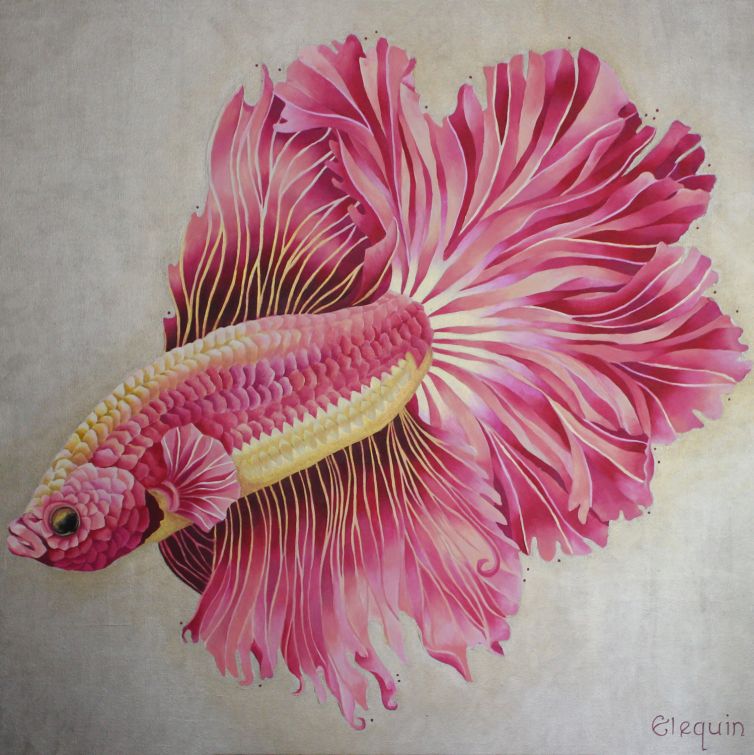 Betta Fish