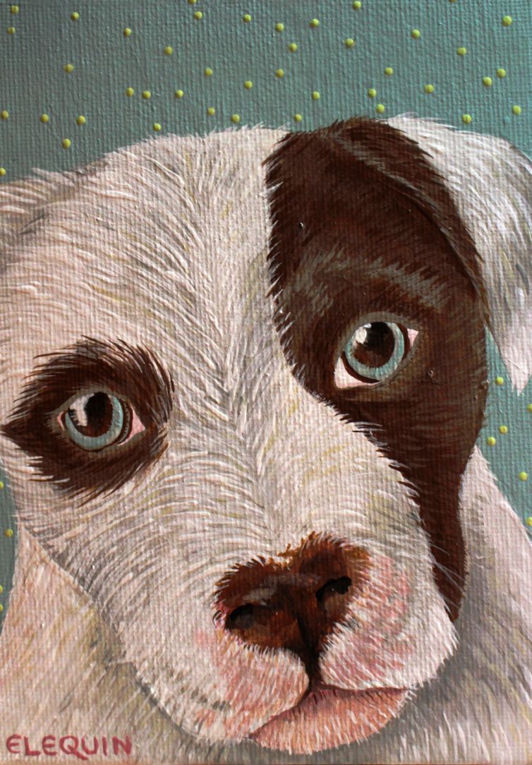 Bully Dog