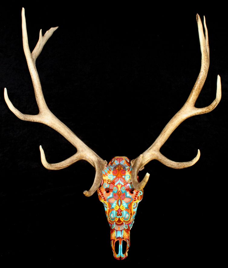 Fuego Blush Elk