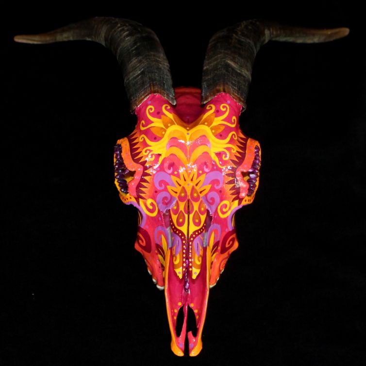 Papaya Gem Goat