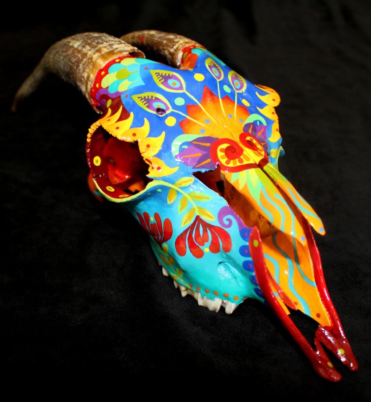 Colorburst Goat