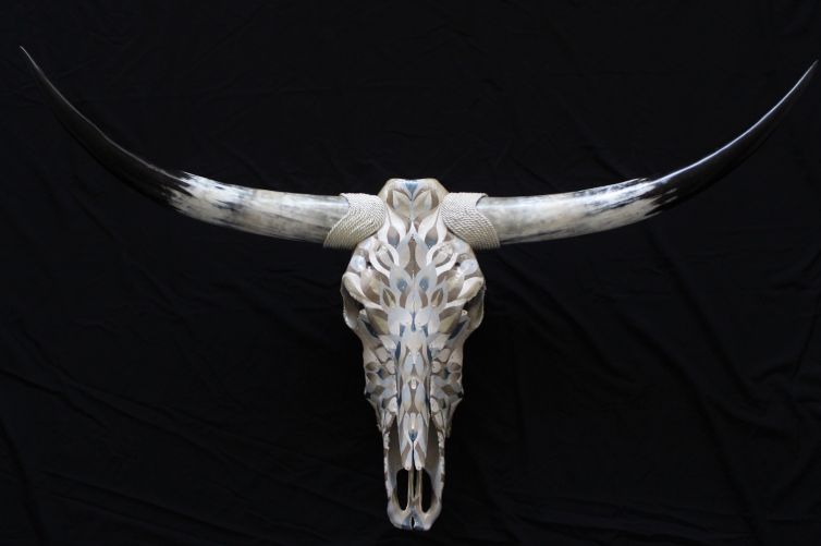 Sterling Plume Longhorn