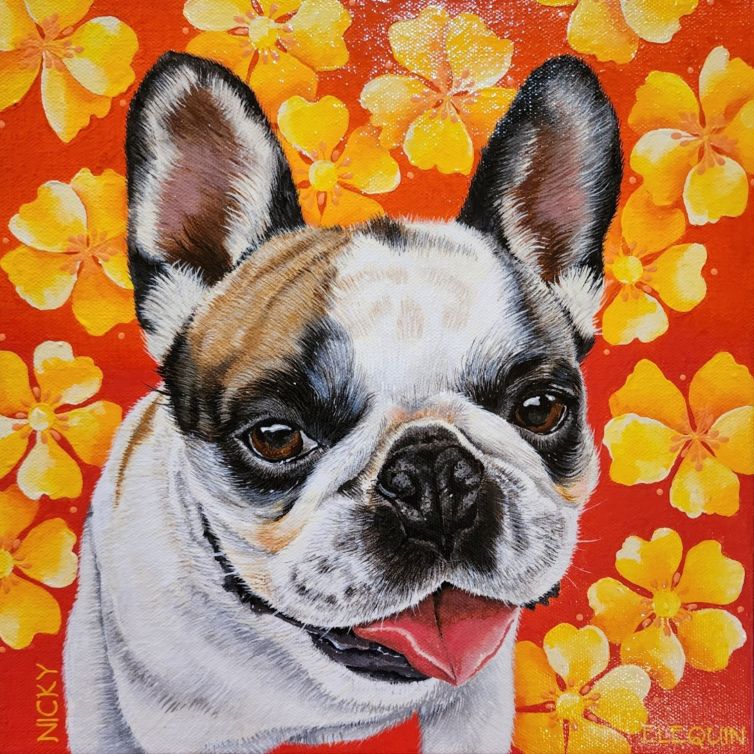Nicky The Frenchie