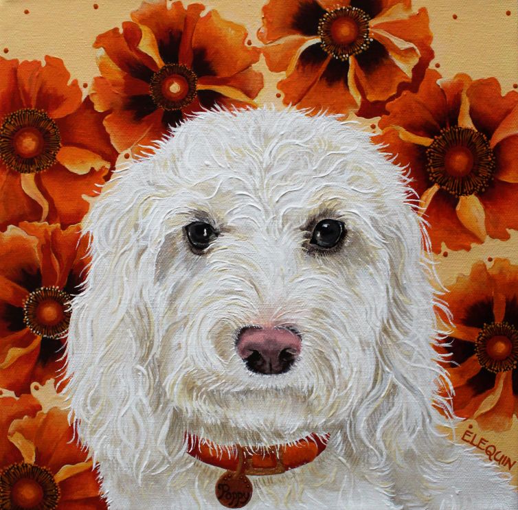 Poppy