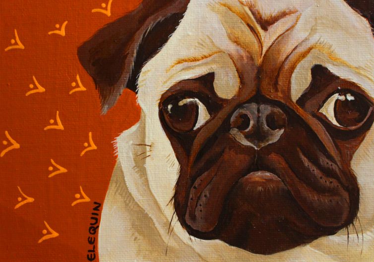 Pug