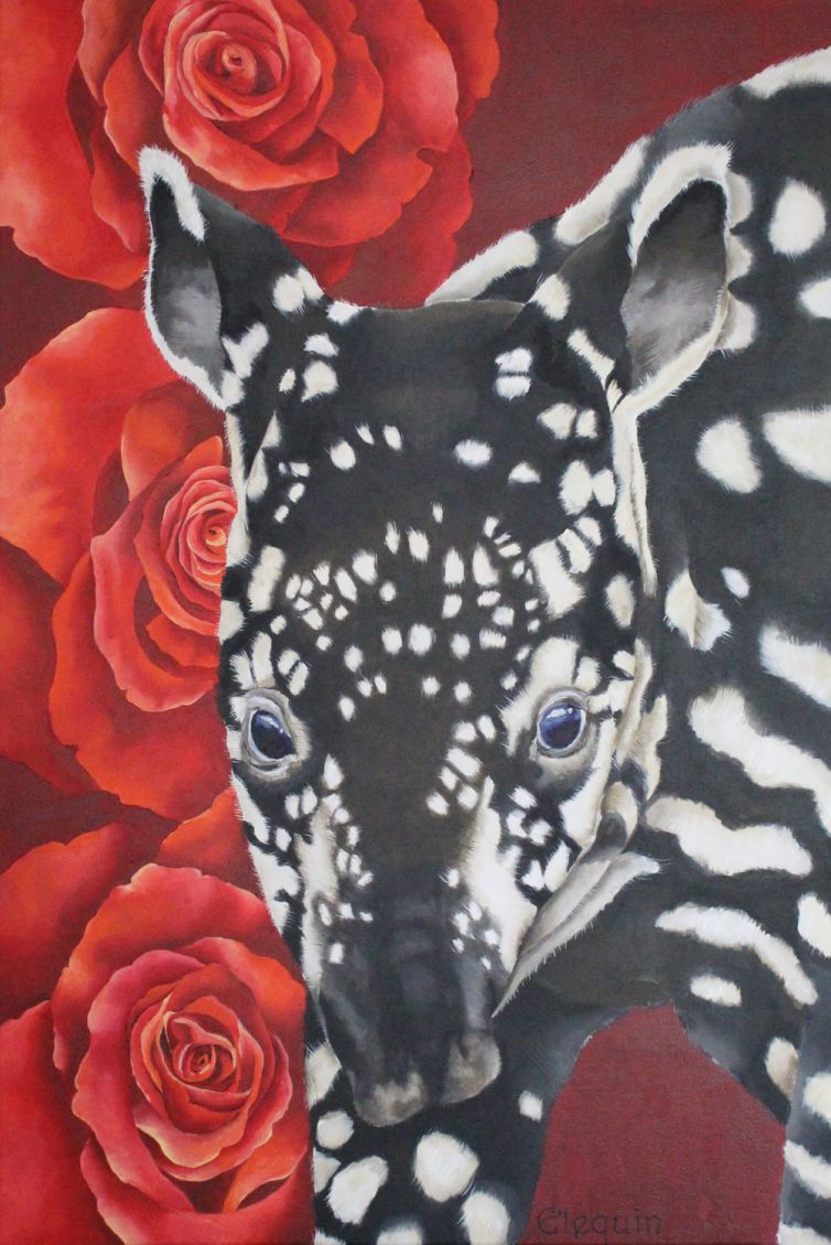 Tapir