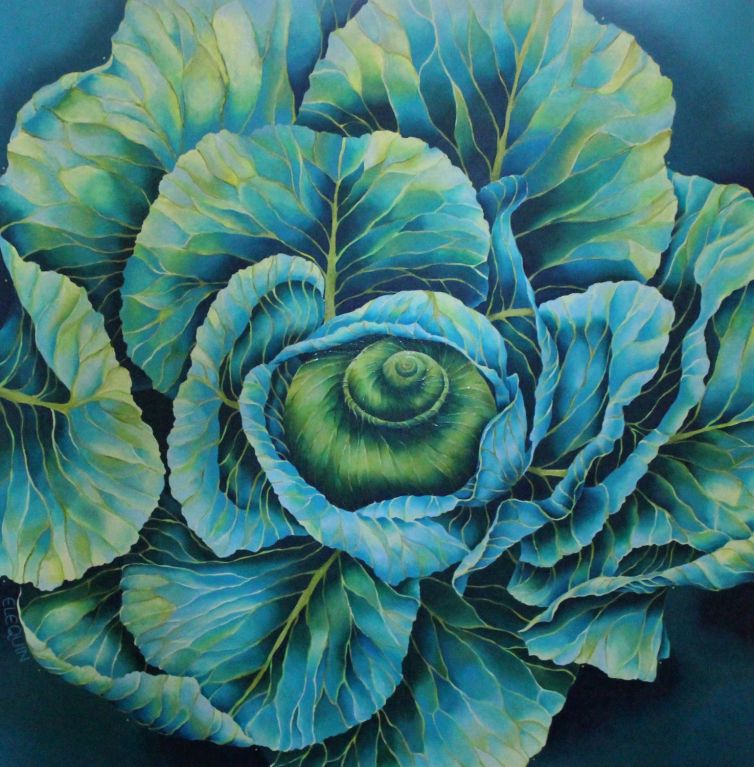 Cabbage Shell