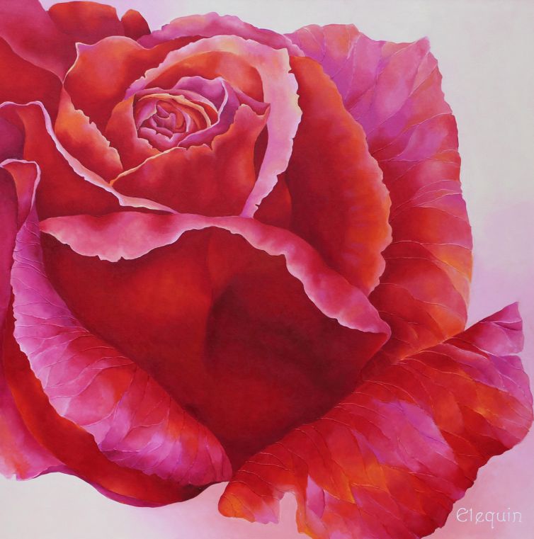 Cerise