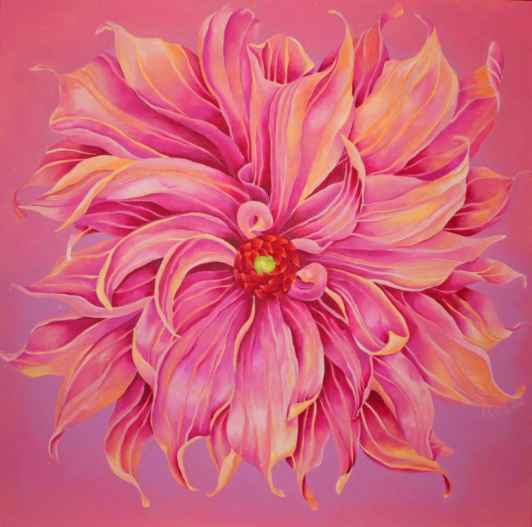 Dahlia