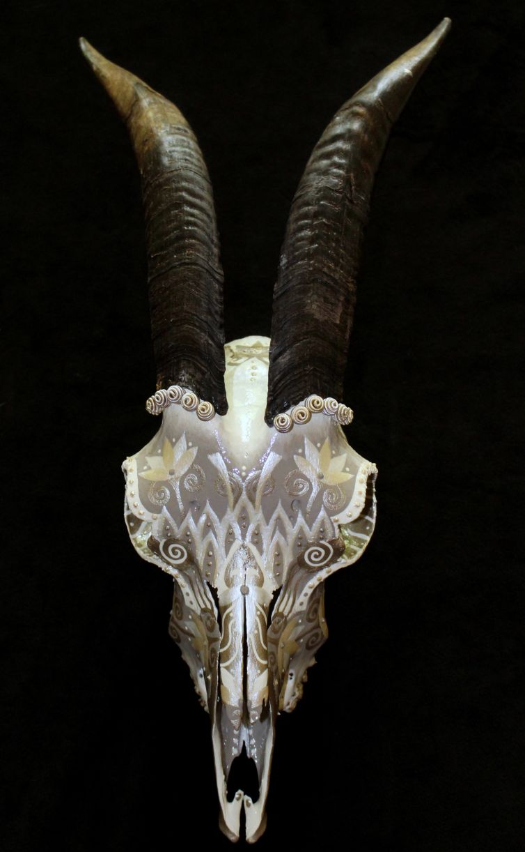Argent Swirl Goat