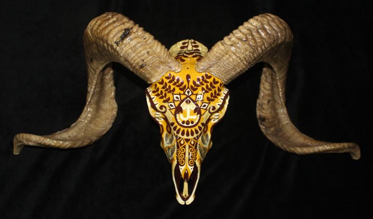 JL Ranch Aoudad Sheep