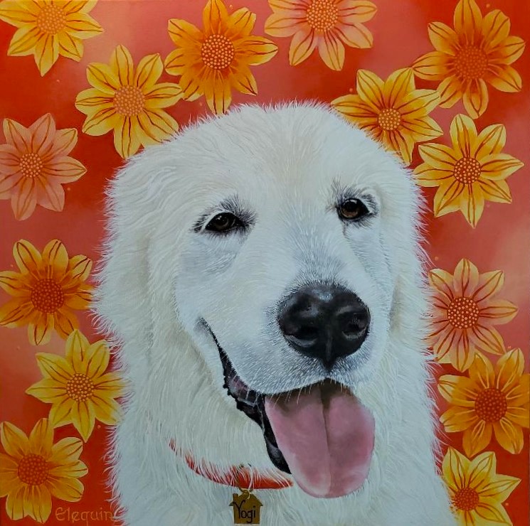 Yogi