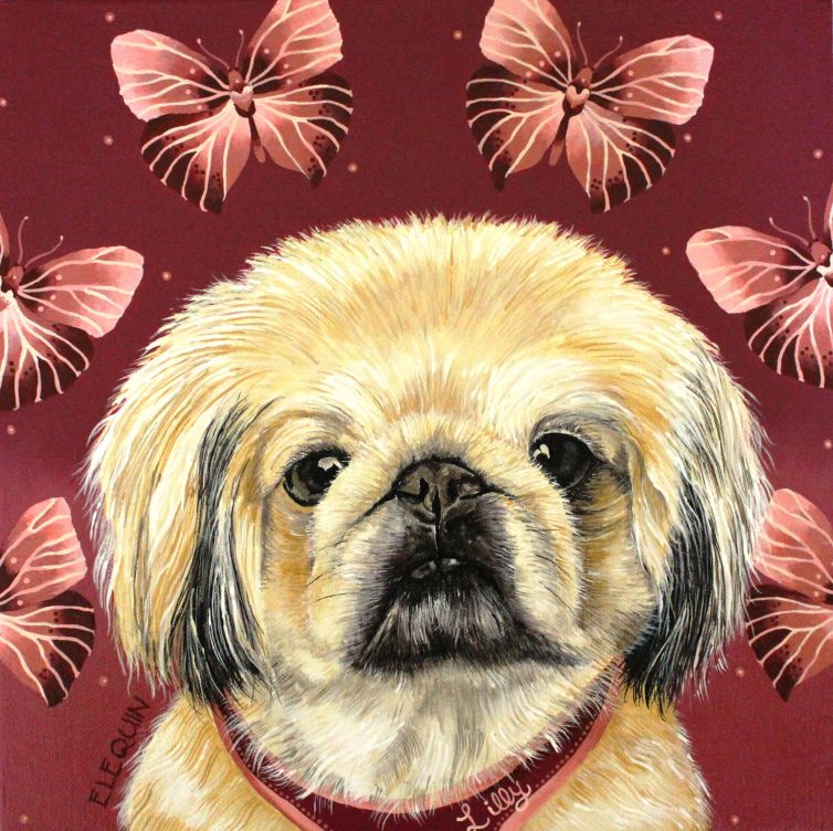 Lilly the Lhaso