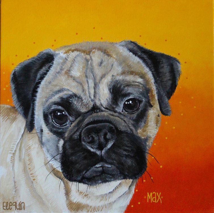 Max the Puggy
